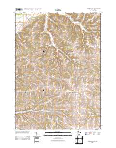 Long Hollow 2013 topographic map thumbnail
