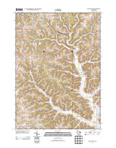 Mount Zion 2013 topographic map thumbnail