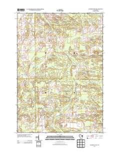 Tigerton NW 2013 topographic map thumbnail