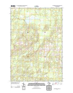 Big Briens Lake 2013 topographic map thumbnail