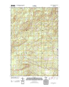 McCarthy Creek 2013 topographic map thumbnail