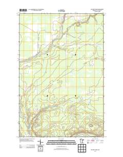 McCarty River 2013 topographic map thumbnail