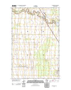 Lake Bronson 2013 topographic map thumbnail
