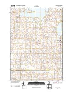 Lake Lillian 2013 topographic map thumbnail