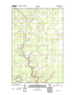 Little Swan 2013 topographic map thumbnail
