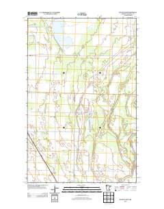 Nelson Slough 2013 topographic map thumbnail