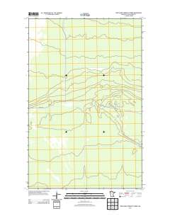 Pine Island Lookout Tower 2013 topographic map thumbnail