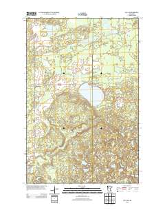 Roy Lake 2013 topographic map thumbnail