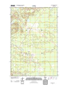 Swan River 2013 topographic map thumbnail
