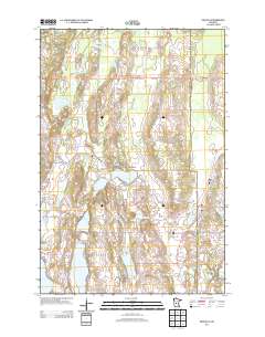 Swanville 2013 topographic map thumbnail