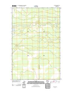 The Pines 2013 topographic map thumbnail