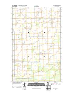 Thief Lake NW 2013 topographic map thumbnail