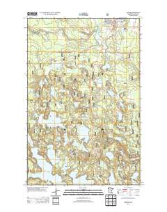 Bigfork 2013 topographic map thumbnail