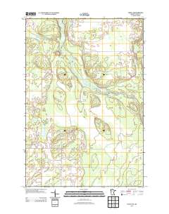 Cedar Lake 2013 topographic map thumbnail