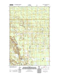 Coddington Lake 2013 topographic map thumbnail