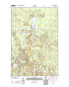 Coon Lake 2013 topographic map thumbnail