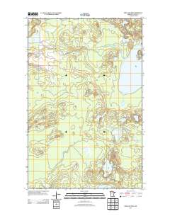 Deer Lake West 2013 topographic map thumbnail