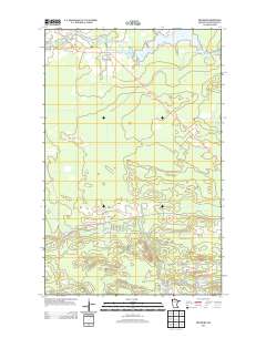 Ericsburg 2013 topographic map thumbnail
