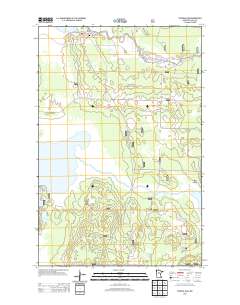 Federal Dam 2013 topographic map thumbnail