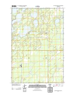 First Crow Wing Lake 2013 topographic map thumbnail