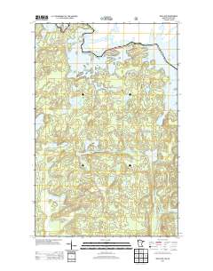Iron Lake 2013 topographic map thumbnail
