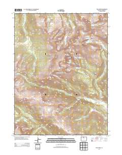 Trail Ridge 2013 topographic map thumbnail