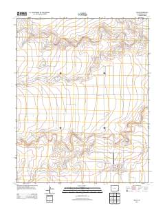 Walsh 2013 topographic map thumbnail