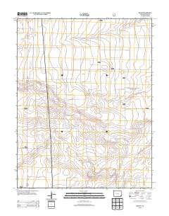 Bisonte 2013 topographic map preview