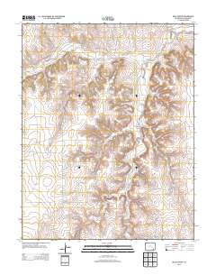 Buck Canyon 2013 topographic map thumbnail