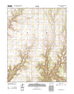Champagne Spring 2013 topographic map thumbnail