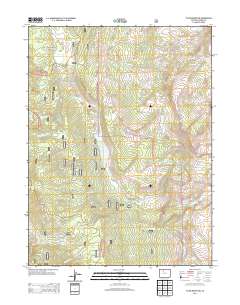 Tyler Mountain 2013 topographic map thumbnail