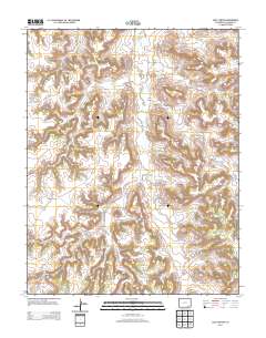 Lost Canyon 2013 topographic map thumbnail