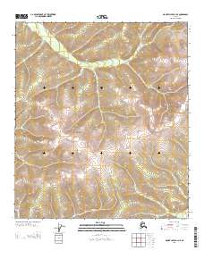 Mount Hayes D-1 NE 2013 topographic map thumbnail