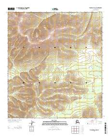 Tanacross C-5 NE topographic map thumbnail