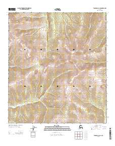Tanacross D-2 SE topographic map thumbnail