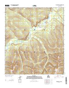Tanacross D-3 SW topographic map thumbnail