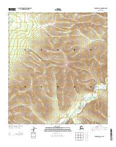 Tanacross D-4 SE 2013 topographic map thumbnail