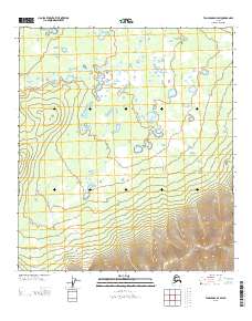 Tanacross D-4 SW topographic map thumbnail