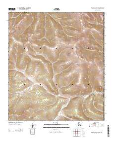 Tanacross D-1 NE topographic map thumbnail