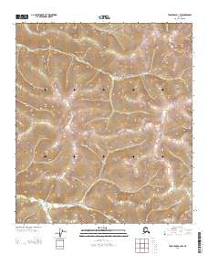 Tanacross D-1 NW topographic map thumbnail