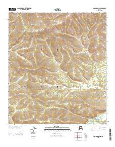 Tanacross D-3 NW topographic map thumbnail