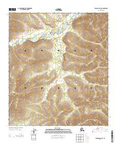 Tanacross D-4 NE topographic map thumbnail