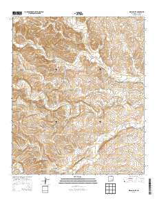 Indian Bluff 2013 topographic map thumbnail