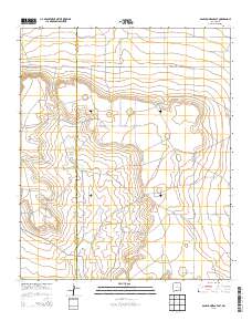San Juan Mesa East 2013 topographic map thumbnail