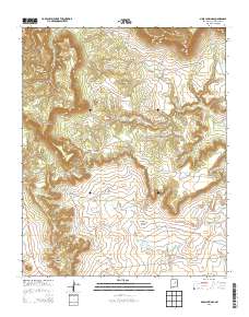 Mesa Chupinas 2013 topographic map thumbnail