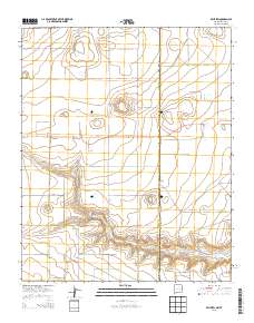 Bellview 2013 topographic map thumbnail
