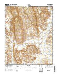 San Ysidro 2013 topographic map thumbnail