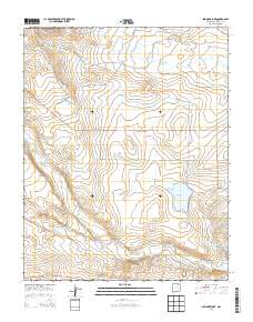 Springer Lake 2013 topographic map thumbnail