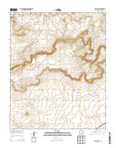 Tapia Ranch 2013 topographic map thumbnail