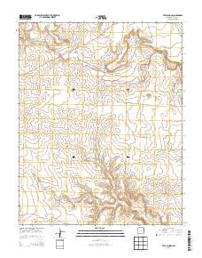 Tate School 2013 topographic map thumbnail